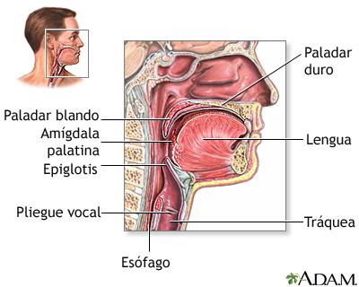 cancer oral3