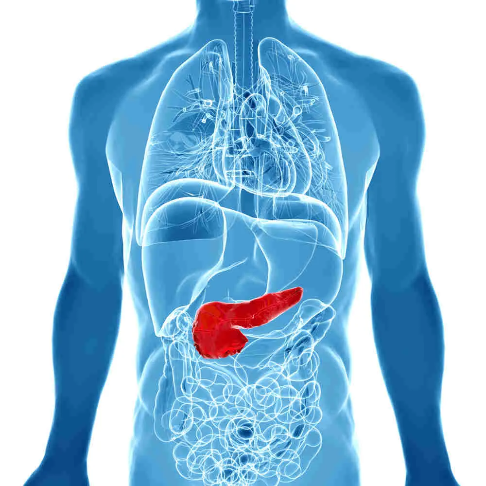 Paciente diabético en odontología Paciente diabético en odontología