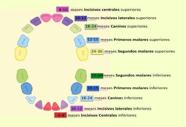 articulo colutorio dentisalut3