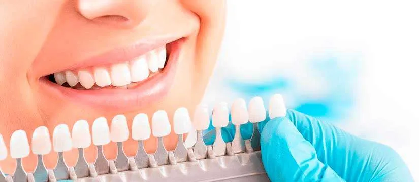 Funciones de cada tipología de dientes